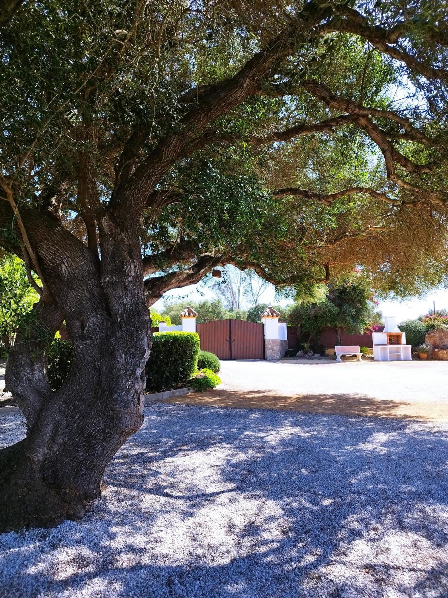 Vivienda Rural Los Madronos Malcocinado  ภายนอก รูปภาพ