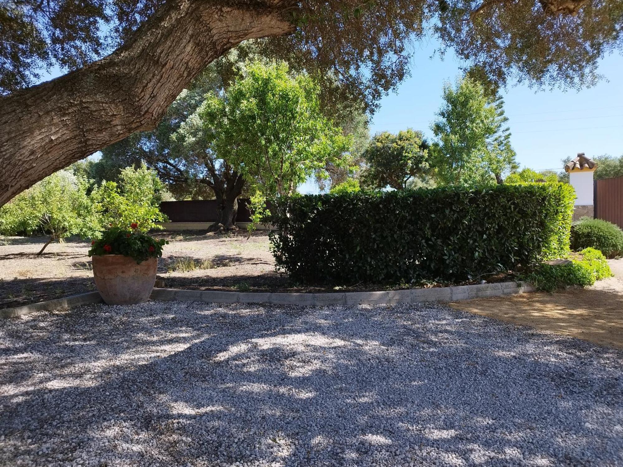 Vivienda Rural Los Madronos Malcocinado  ภายนอก รูปภาพ